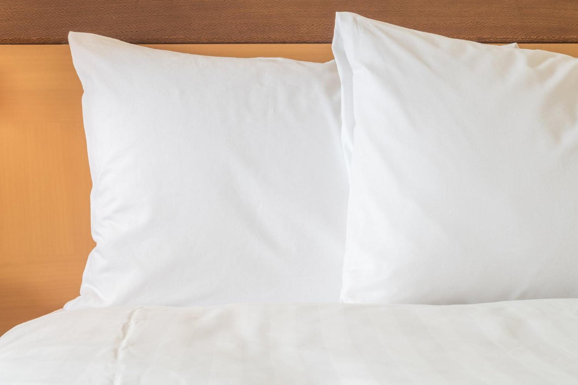 Crowne Plaza Jacksonville Airport By Ihg Екстер'єр фото