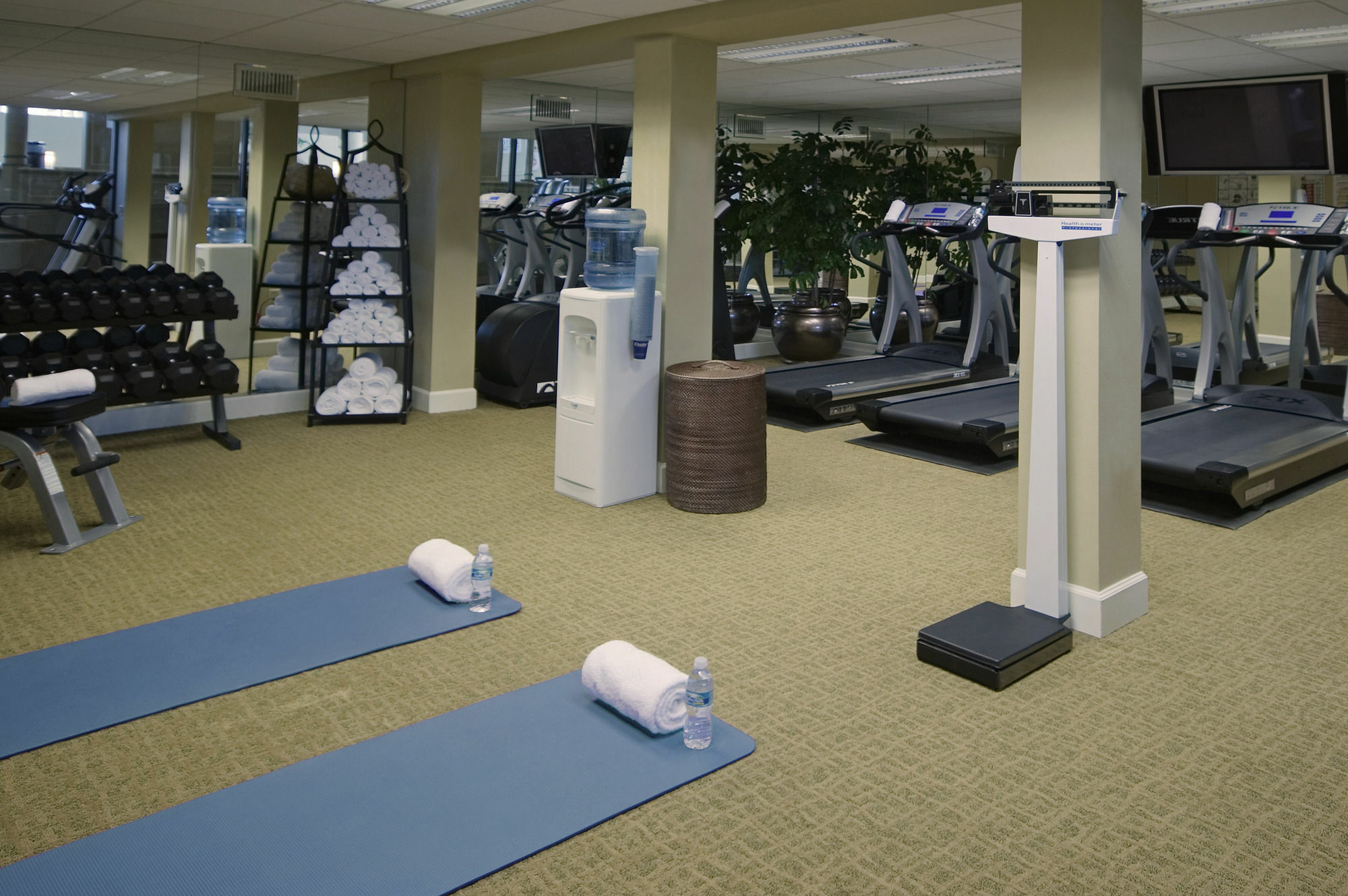 Crowne Plaza Jacksonville Airport By Ihg Екстер'єр фото